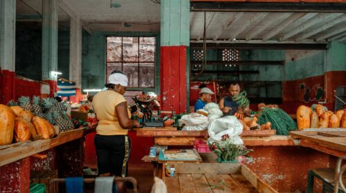 mauro lima 7XybwjS6gE0 unsplash